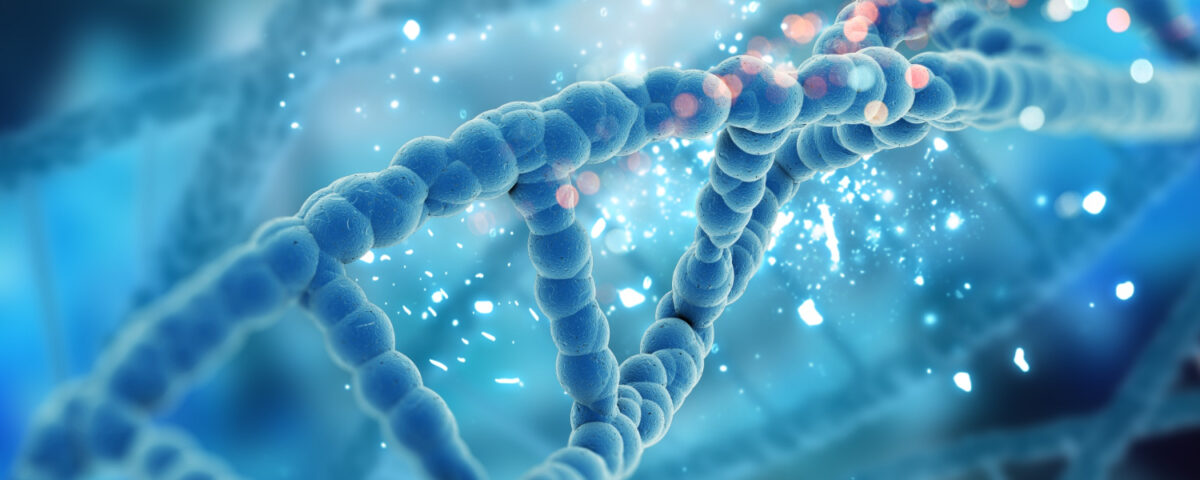 epigenética y genética nutricional